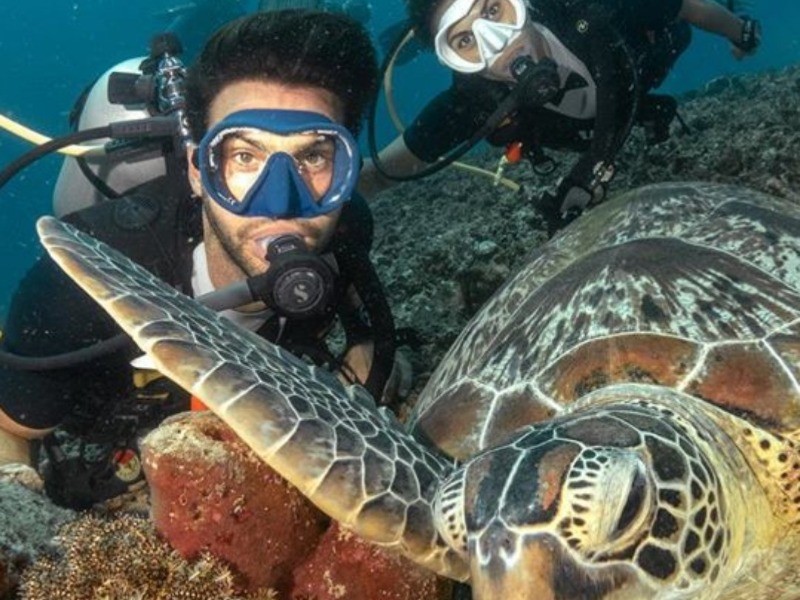 Diving antalya