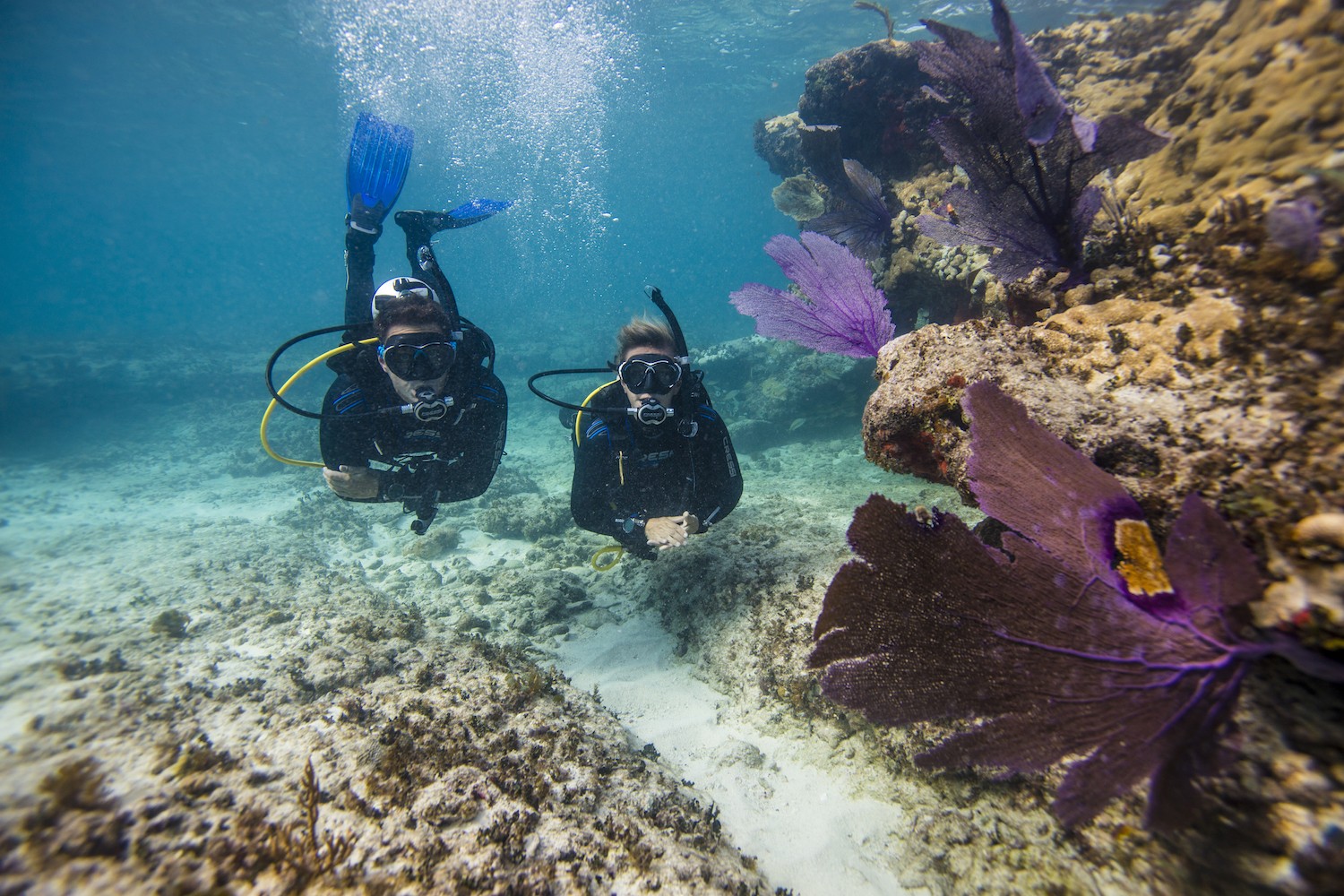 Poseydon diving tour